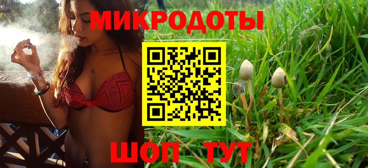 Бийск  Псилоцибиновые грибы Psilocybine cubensis  Вход с VPN 
